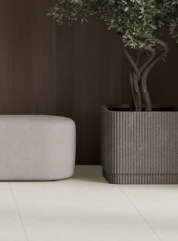Ardesia