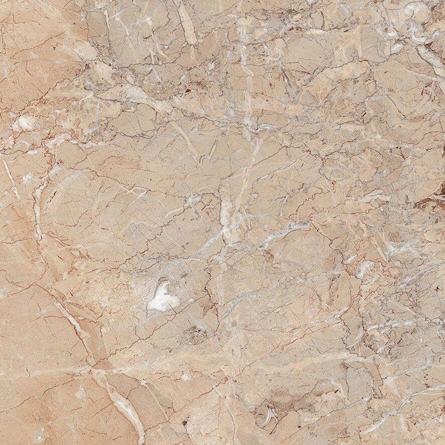 Brecia Antic Brown Керамогранит 60х60 Матовый Brecia Antic Brown Керамогранит 60х60 Матовый