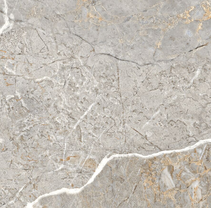 Fantastico Grey Granito Керамогранит 60х60 Матовый Fantastico Grey Granito Керамогранит 60х60 Матовый