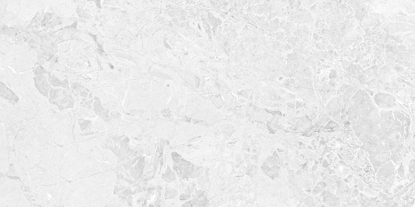 Brecia Adonis Grey Керамогранит светло-серый 60x120 полированный