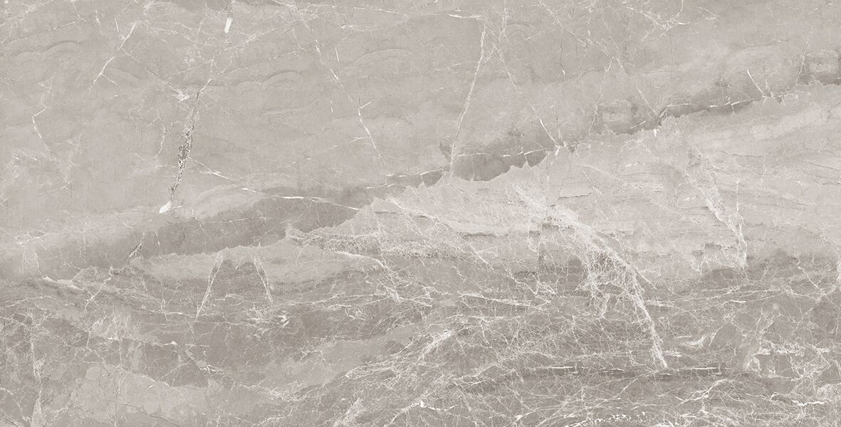 Nostalgic Silver Керамогранит 60х120 Полированный Nostalgic Silver Керамогранит 60х120 Полированный