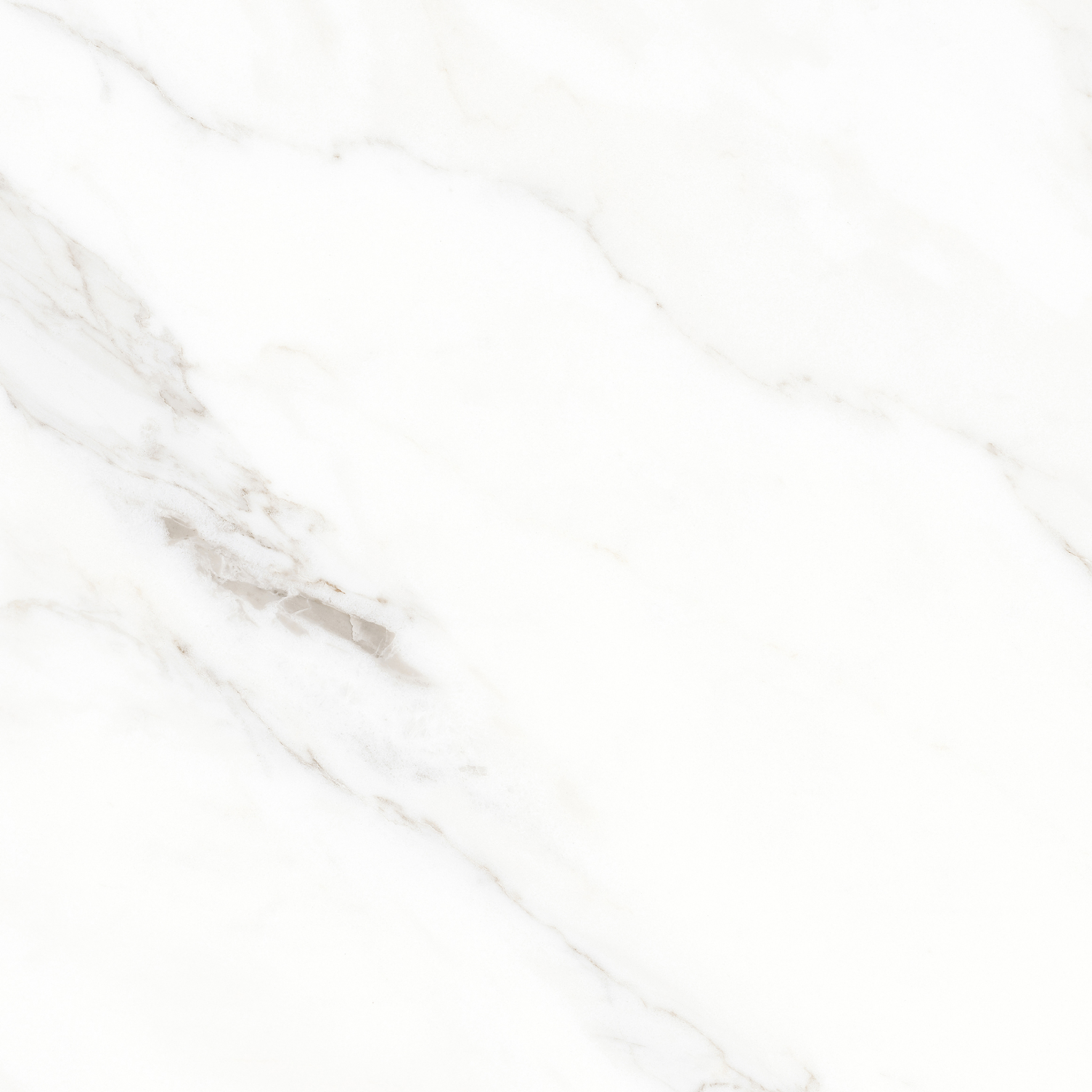 Calacatta Michael Керамогранит белый 60х60 матовый