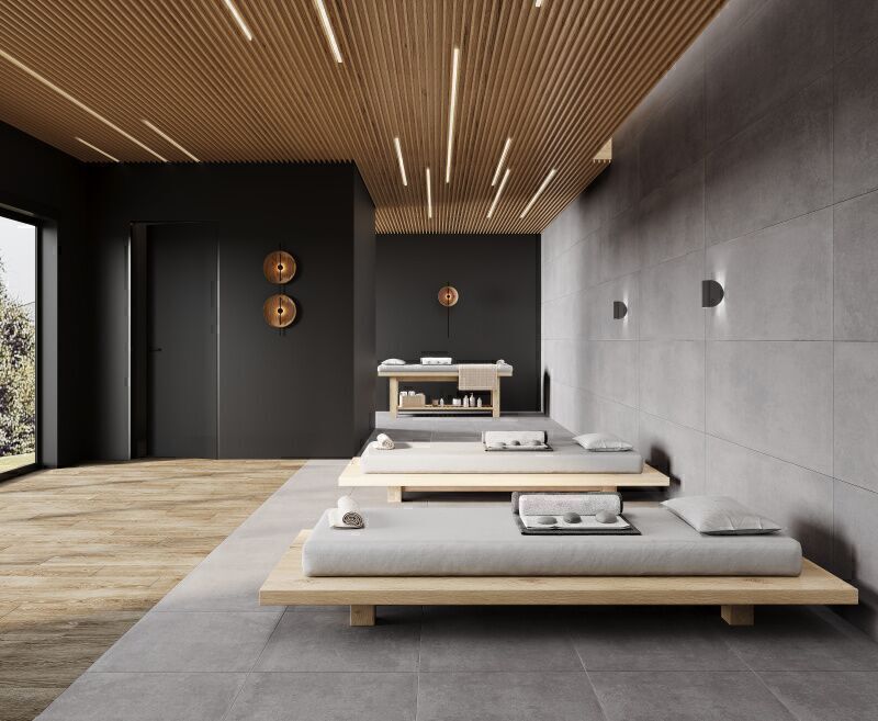 Betonica Grey PRO