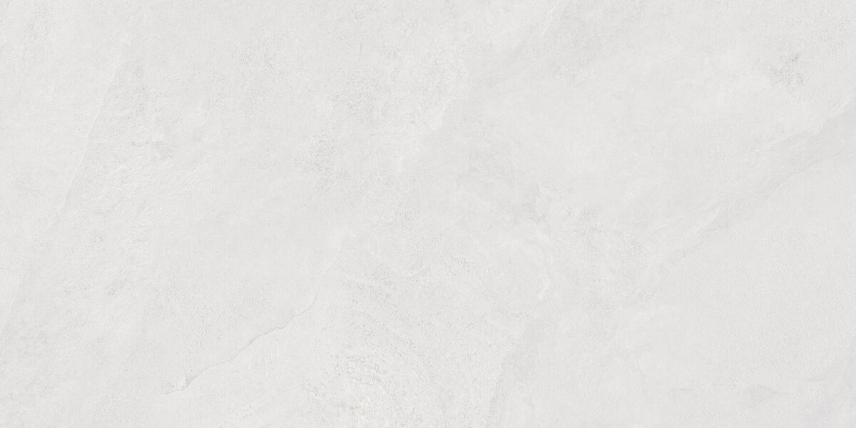 Porter Silver PRO Керамогранит светло-серый LP6012G0171R 59,5х119,1 матовый карвинг R10 STR