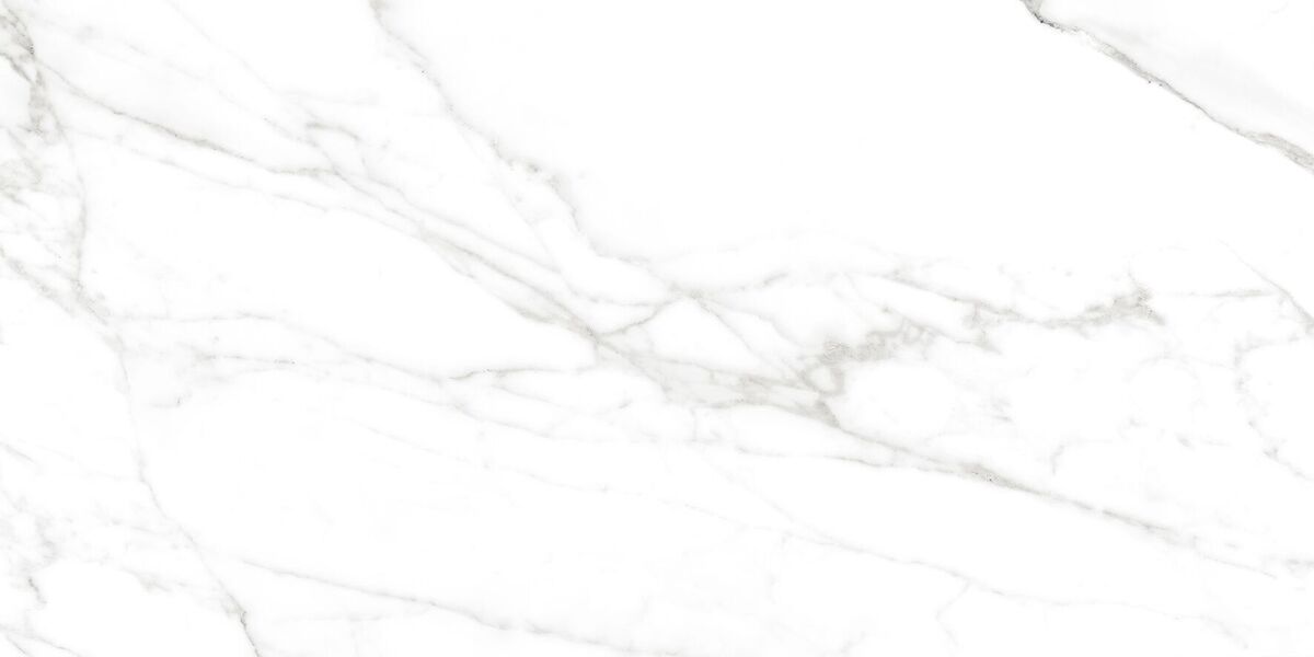 Calacatta Bianco PRO Керамогранит белый 60х120 матовый R10GR CB