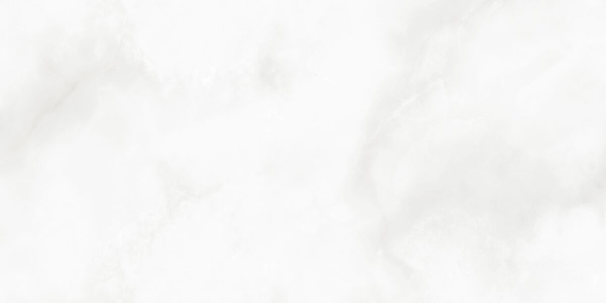 Bernini Bianco Керамогранит белый LP6012G0541R 59,5х119,1 глянцевые чернила