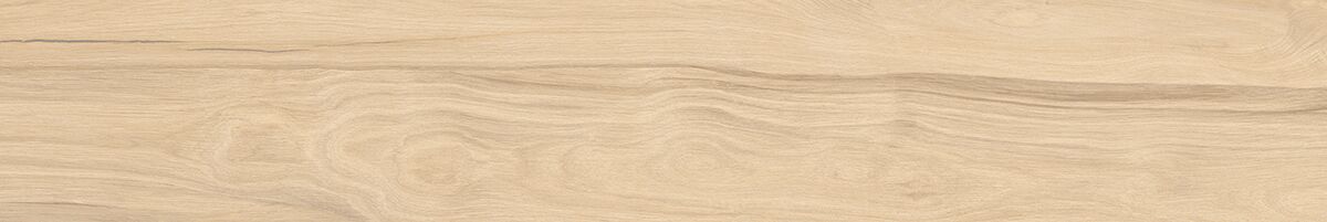 Selva PRO керамогранит бежевый SG517620R 19,6х119,1 R10 STR