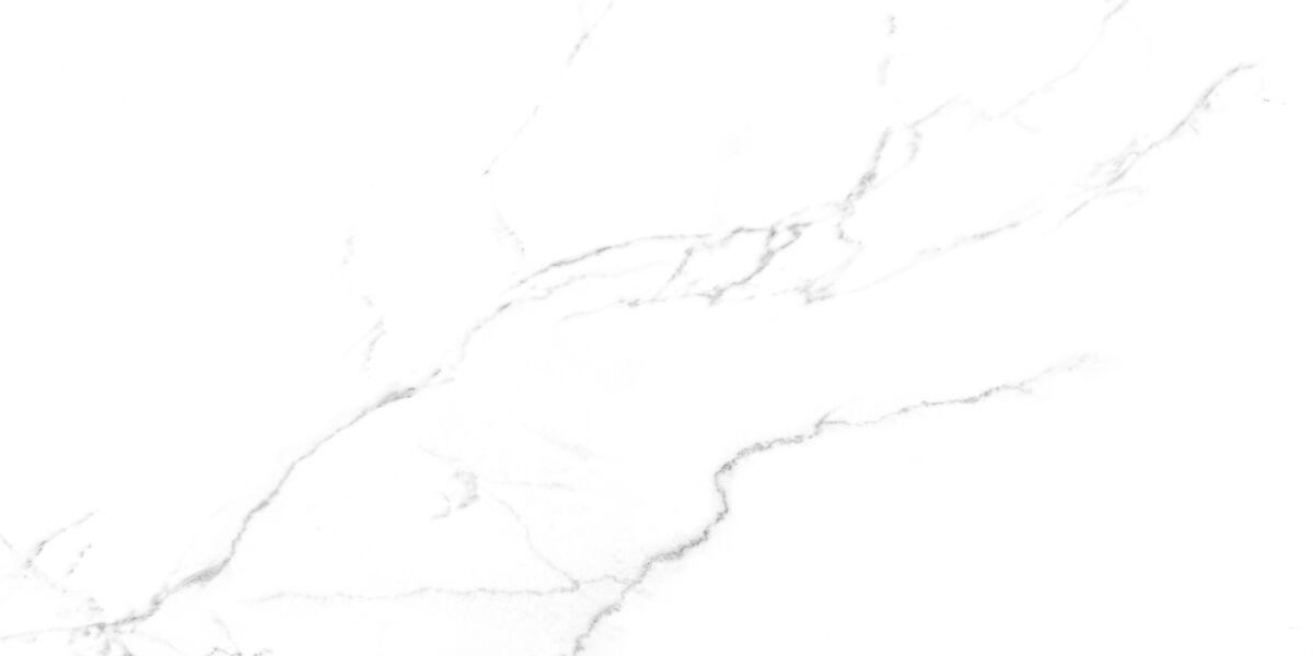 Discovery Blanco Керамогранит белый SG50002420R 59,5х119,1 матовый