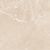 Carnico Beige Керамогранит бежевый 60x60 Полированный Carnico Beige Керамогранит бежевый 60x60 Полированный