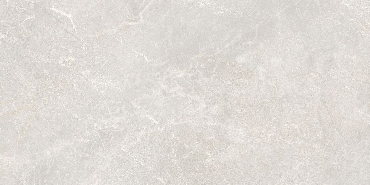 Rocky Bianco PRO Керамогранит светло-серый 60х120 матовый R10GR STR CB