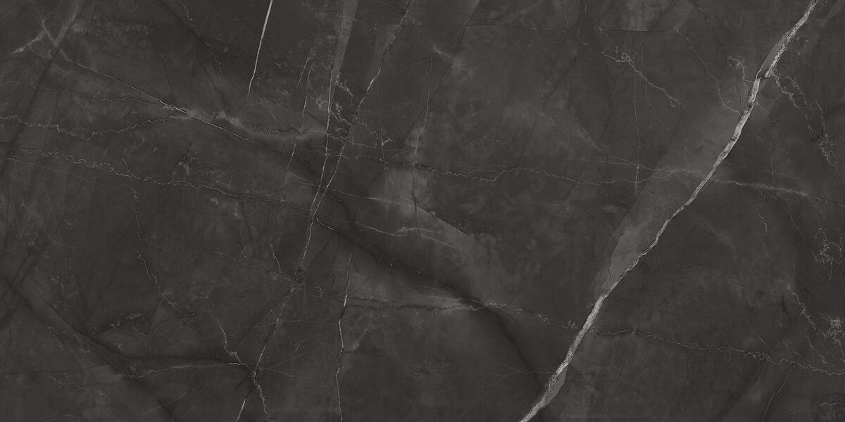 Таймлесс Графит Керамогранит графит LP6012G0031R 59,5х119,1 матовый гравированный