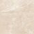 Carnico Beige Керамогранит бежевый 60x60 Полированный Carnico Beige Керамогранит бежевый 60x60 Полированный