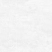 Flagman PRO Керамогранит светло-серый K952736R0001LPET 59,7х59,7 R10