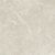 Rocky Pearl PRO Керамогранит бежевый 60х60 матовый R10GR