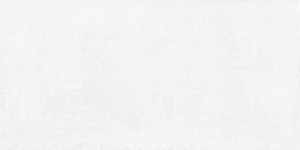 Betonica Blanco PRO Керамогранит светло-серый 60х120 матовый R11Soft