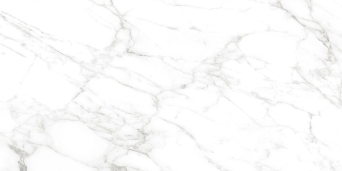 Calacatta Bianco PRO Керамогранит белый 60х120 матовый R10GR CB