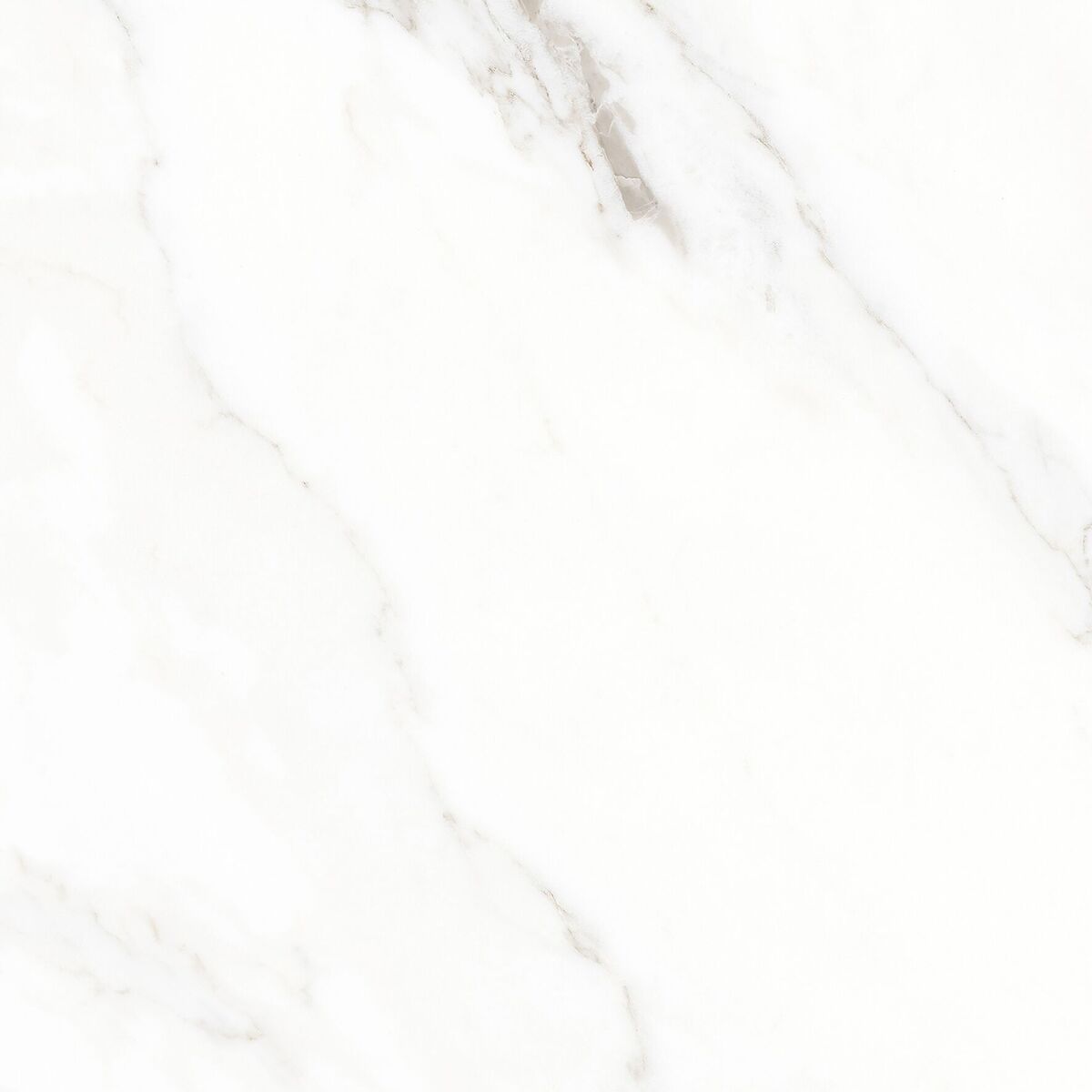 Calacatta Michael Керамогранит белый 60х60 матовый