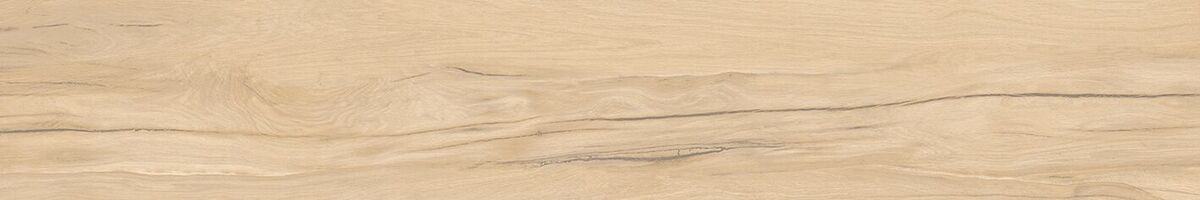 Selva PRO керамогранит бежевый SG517620R 19,6х119,1 R10 STR