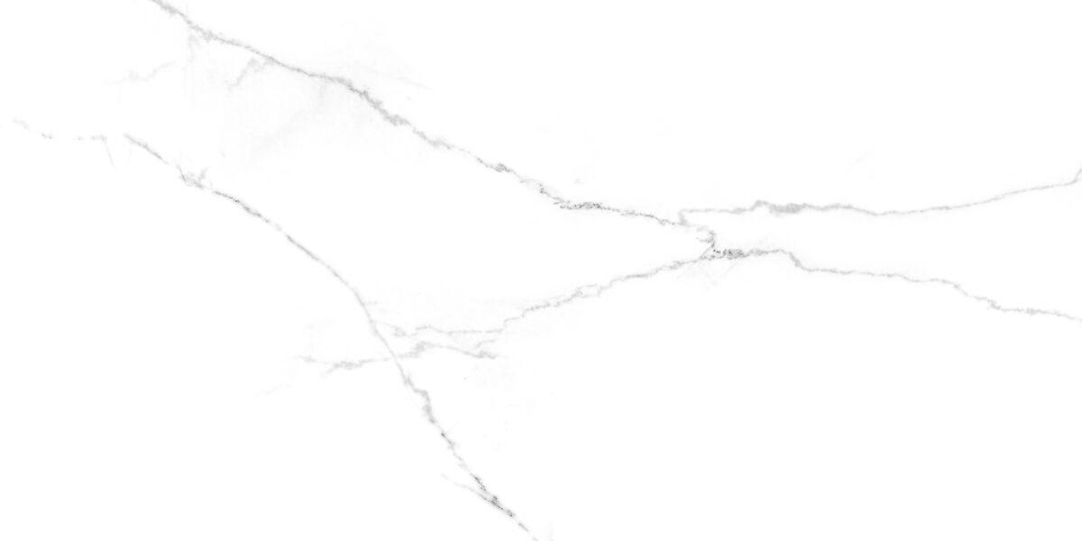 Дискавери Бланко Керамогранит белый SG50002420R 59,5х119,1 матовый