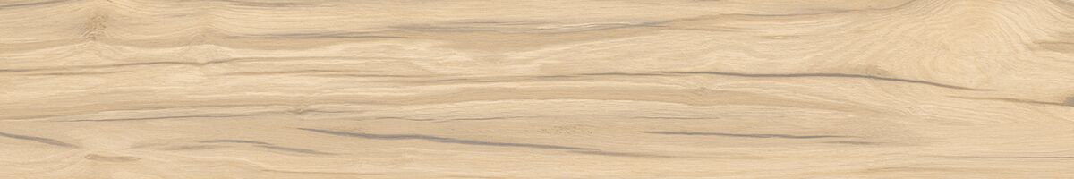 Selva PRO керамогранит бежевый SG517620R 19,6х119,1 R10 STR