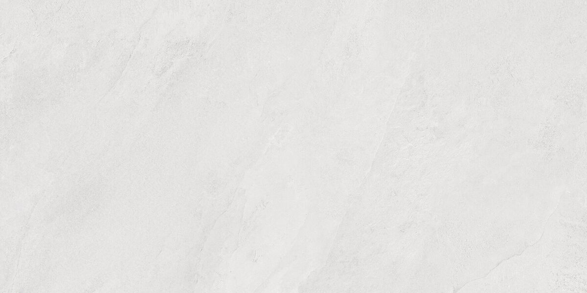Porter Silver PRO Керамогранит светло-серый LP6012G0171R 59,5х119,1 матовый карвинг R10 STR