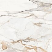 Статуарио Порш Керамогранит 60х60 матовый