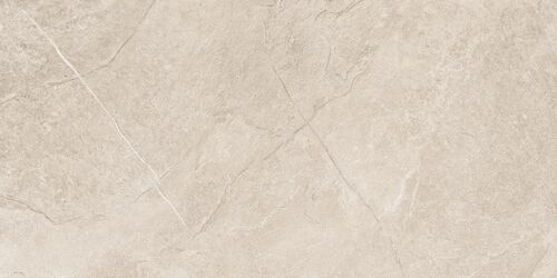 Оверланд Венус ПРО Керамогранит бежевый 60х120 матовый структурный+гл.чернила R10/A