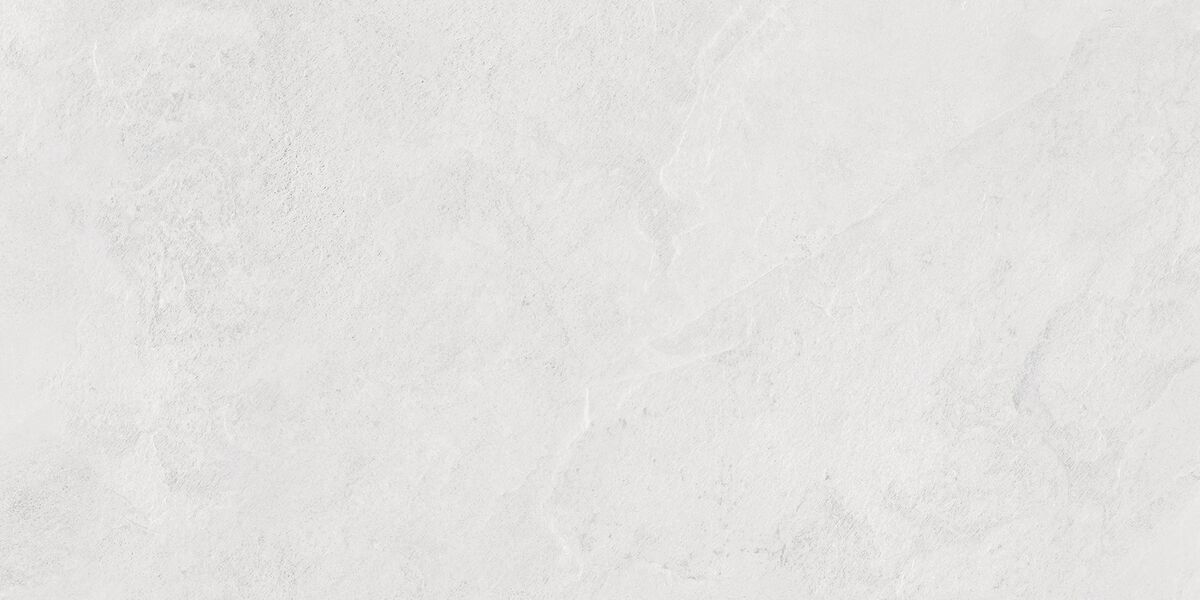 Porter Silver PRO Керамогранит светло-серый LP6012G0171R 59,5х119,1 матовый карвинг R10 STR