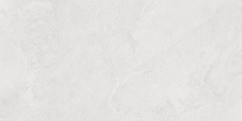 Porter Silver PRO Керамогранит светло-серый LP6012G0171R 59,5х119,1 матовый карвинг R10 STR