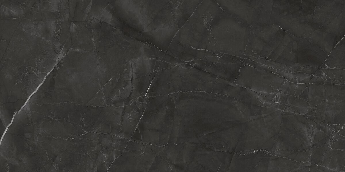 Timeless Grafite Керамогранит графит LP6012G0031R 59,5х119,1 матовый карвинг