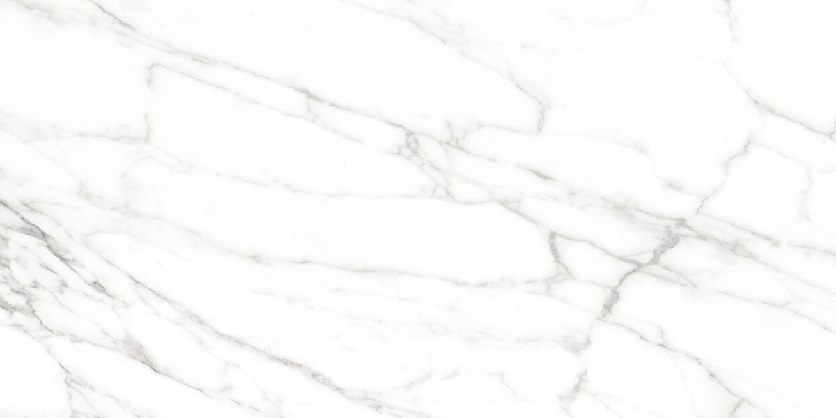 Calacatta Bianco PRO Керамогранит белый 60х120 матовый R10GR CB