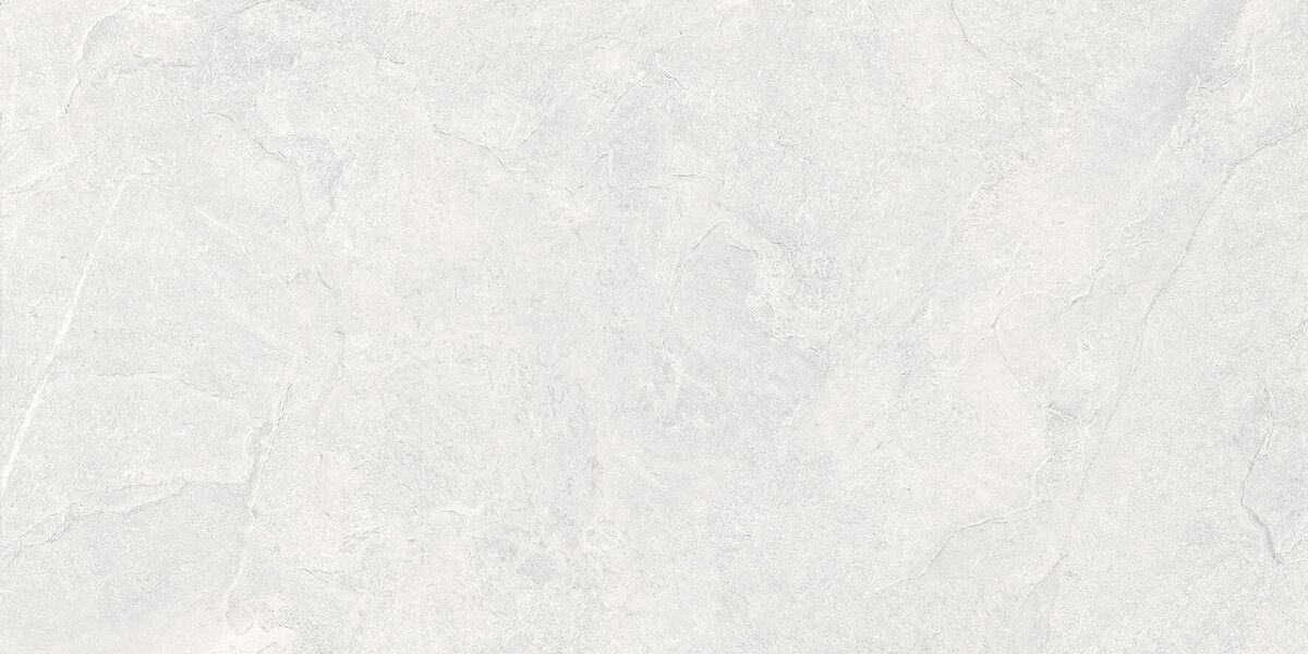 Overland Moon PRO Керамогранит светло-серый 60х120 матовый+гл.чернила R10 STR