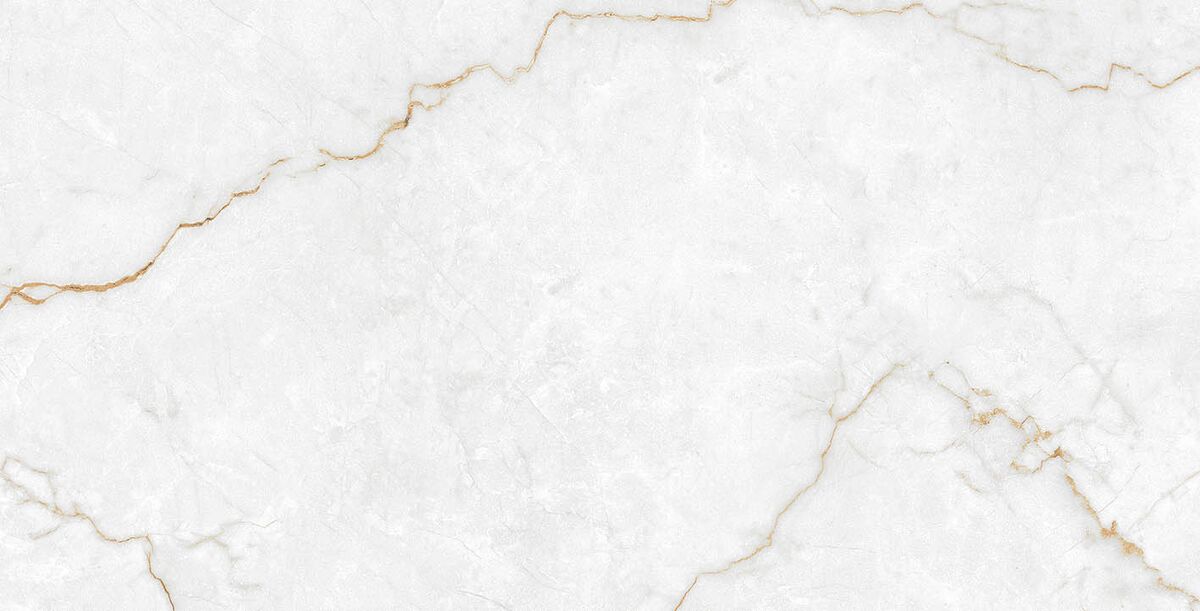 Торсо Голд Керамогранит 60х120 полированный