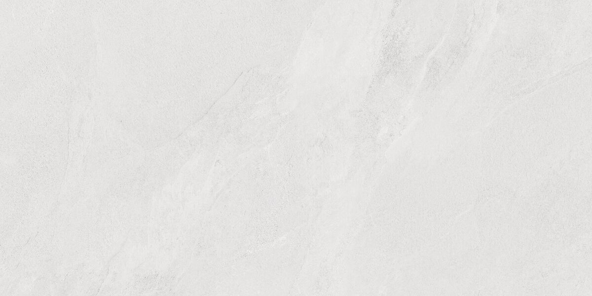 Porter Silver PRO Керамогранит светло-серый LP6012G0171R 59,5х119,1 матовый карвинг R10 STR