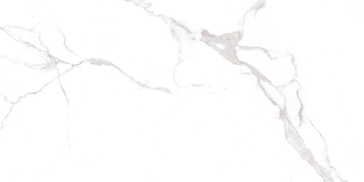 Statuario White PRO Керамогранит белый 60х120 матовый R10GR CB