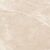 Carnico Beige Керамогранит бежевый 60x60 Полированный Carnico Beige Керамогранит бежевый 60x60 Полированный