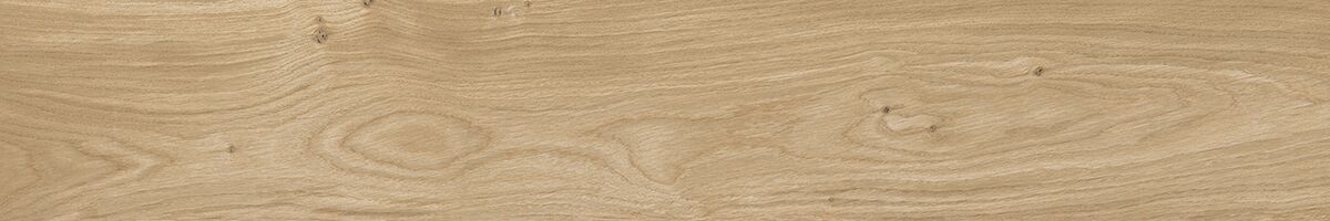 Клаб керамогранит светло-коричневый SG517400R 19,6х119,5