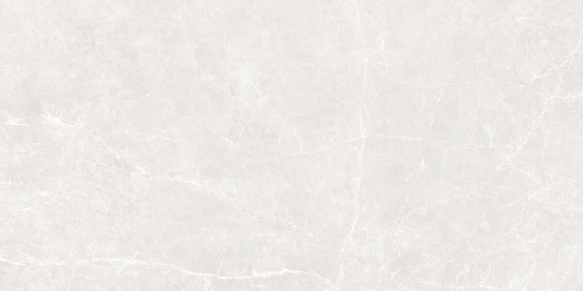 Soft Cloud Bianco Керамогранит светло-серый 60х120 матовый карвинг Soft Cloud Bianco Керамогранит светло-серый 60х120 матовый карвинг