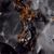 Andora Black Керамогранит чёрный 60х60 полированный
