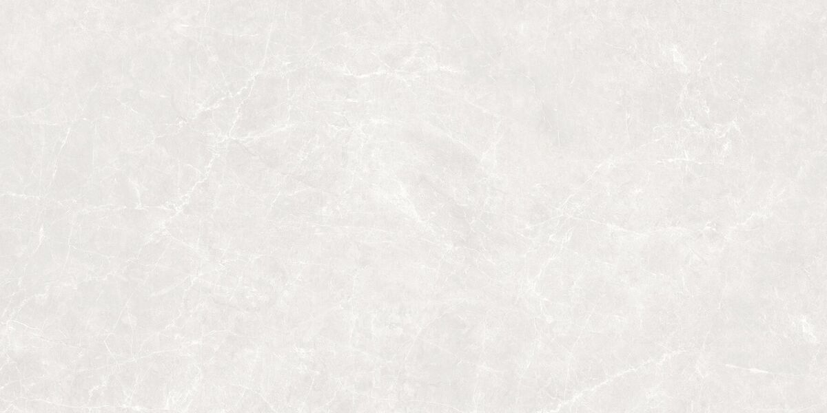 Soft Cloud Bianco Керамогранит светло-серый 60х120 матовый карвинг Soft Cloud Bianco Керамогранит светло-серый 60х120 матовый карвинг