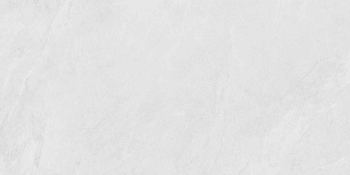 Porter Silver PRO Керамогранит светло-серый LP6012G0171R 59,5х119,1 матовый карвинг R10 STR
