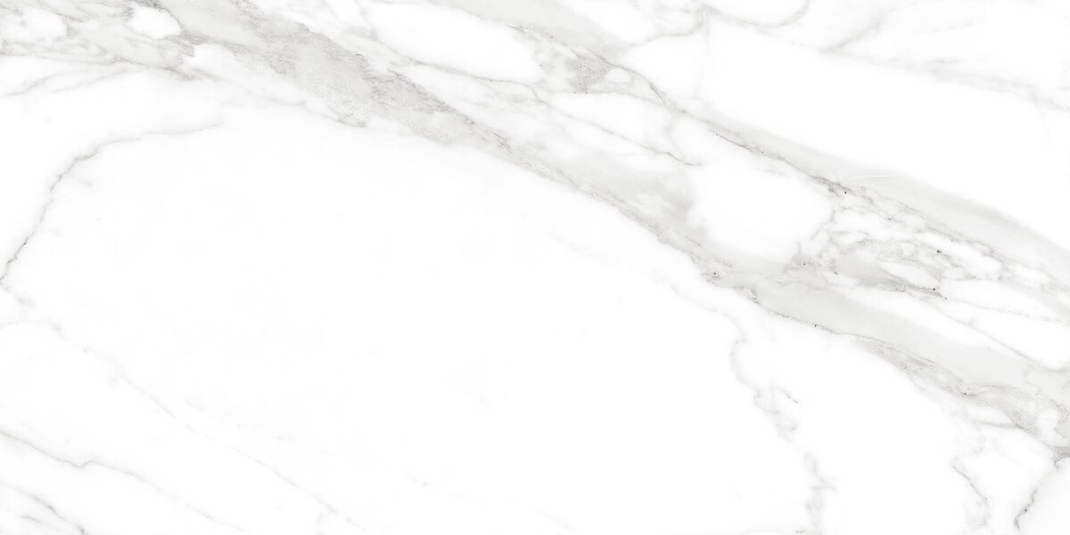 Calacatta Bianco PRO Керамогранит белый 60х120 матовый R10GR CB