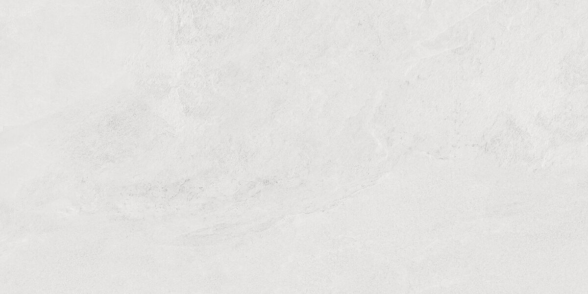 Porter Silver PRO Керамогранит светло-серый LP6012G0171R 59,5х119,1 матовый карвинг R10 STR