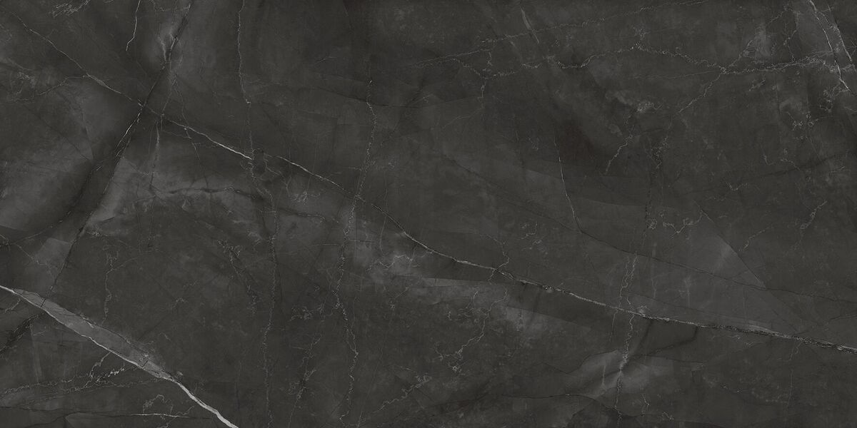 Timeless Grafite Керамогранит графит LP6012G0031R 59,5х119,1 матовый карвинг