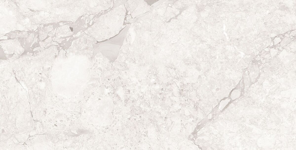 Emil White Керамогранит светло-серый 60x120 Полированный