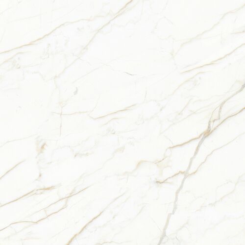 Europa Gold l Керамогранит белый 60x60 Матовый Карвинг