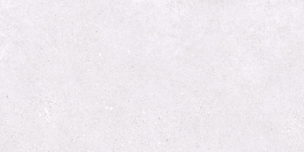 Базальт Эксепшнал Сноу Керамогранит светло-серый 60х120 матовый