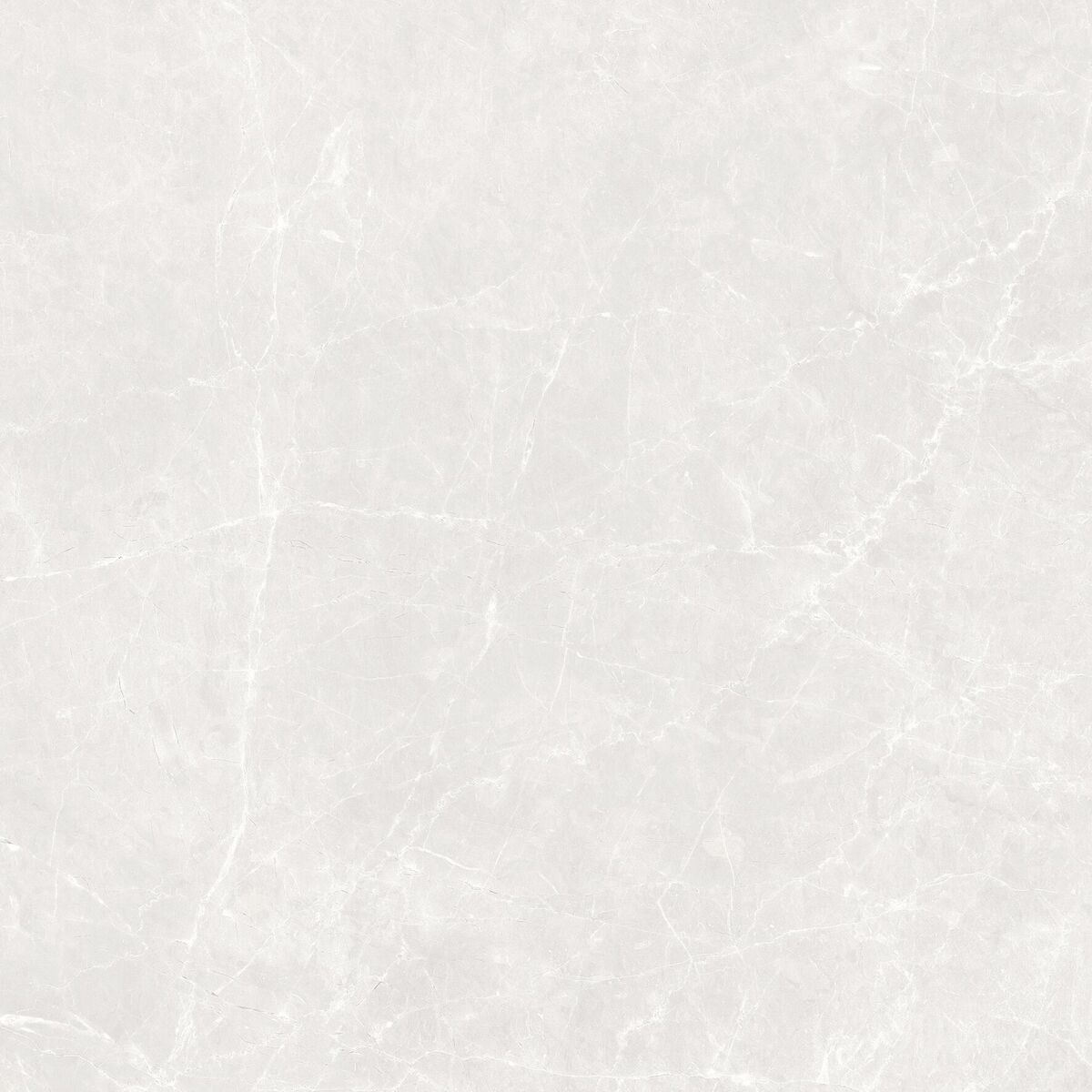 Soft Cloud Bianco Керамогранит светло-серый 60х60 матовый Soft Cloud Bianco Керамогранит светло-серый 60х60 матовый