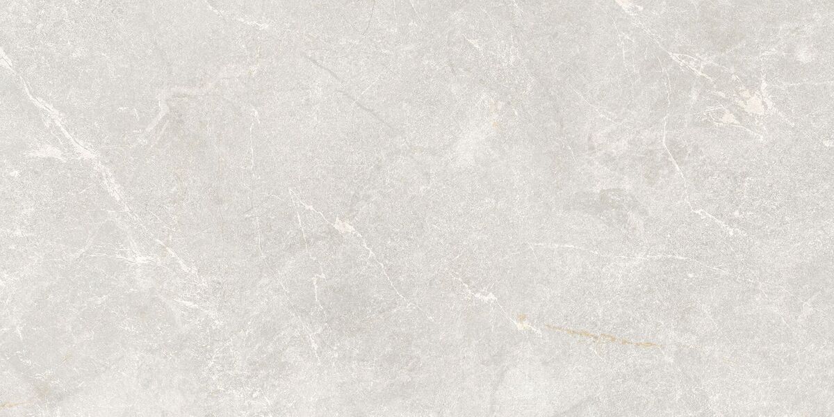 Rocky Bianco PRO Керамогранит светло-серый 60х120 матовый R10GR STR CB