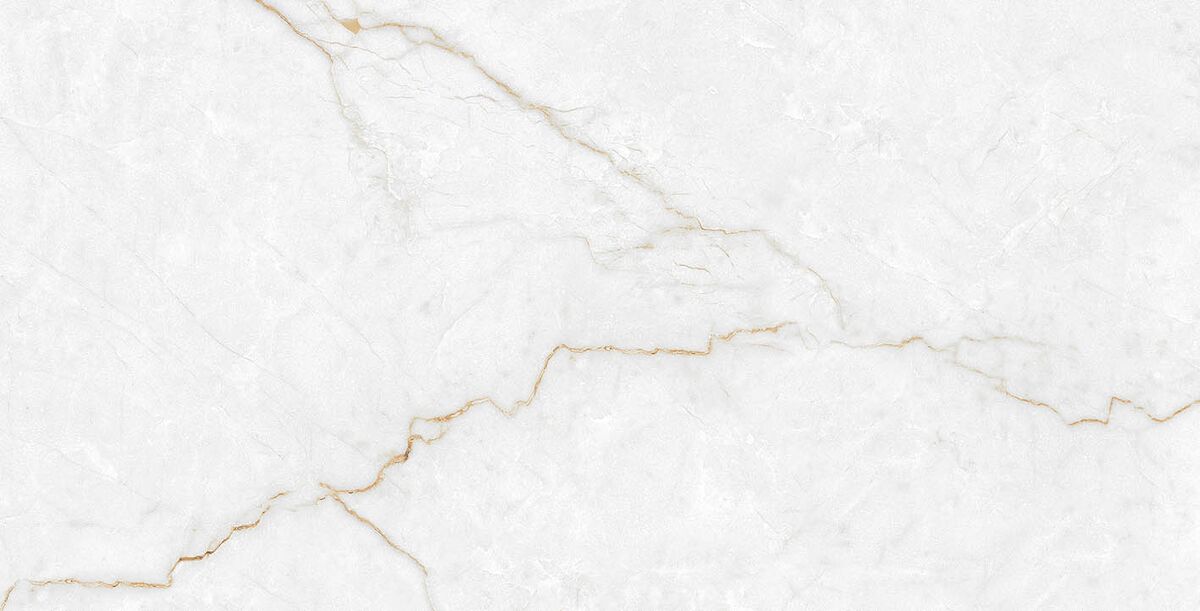 Торсо Голд Керамогранит 60х120 полированный